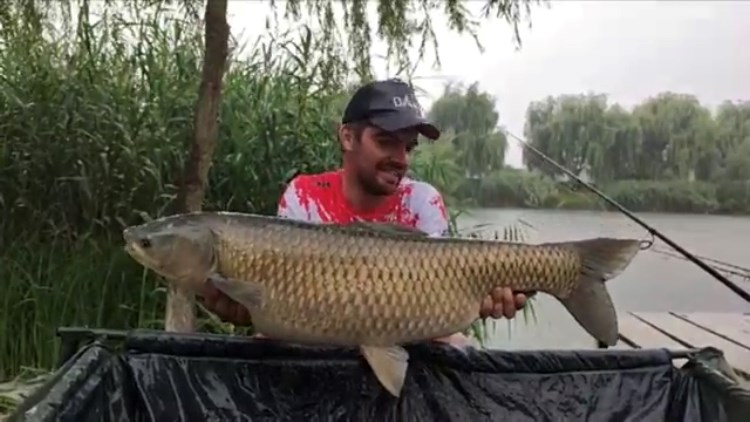 Green Paradise 3 - 5 iulie 2020